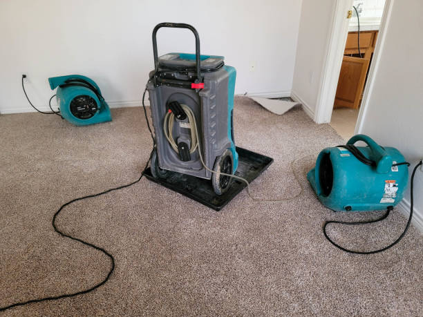 Best 24-hour water damage restoration  in Mercer, PA
