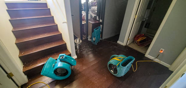 Best Mold removal after water damage  in Mercer, PA