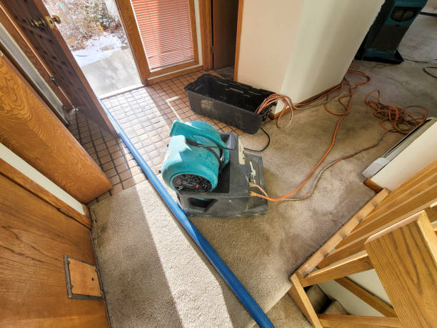 Best Ceiling water damage repair  in Mercer, PA