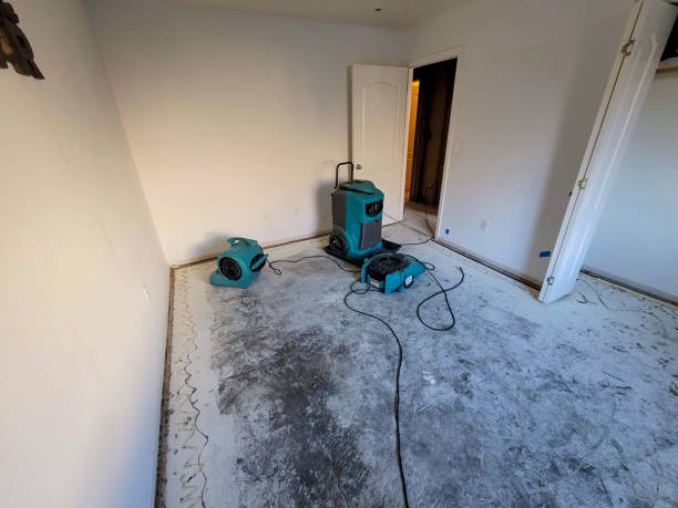 Best Carpet water damage restoration  in Mercer, PA