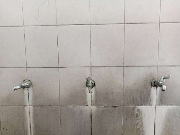 Best Sewage cleanup and water damage restoration  in Mercer, PA