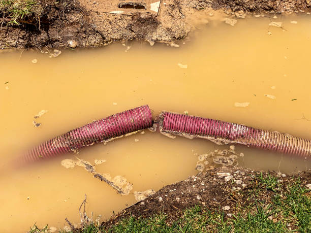 Best Basement water damage restoration  in Mercer, PA